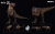Nanmu Studio 170158, Sovereign of the Oath Max, Nanmu Smart Series 170158, Nanmu T-Rex figure, articulated dinosaur action figure, Nanmu pre-order, HobbyGalaxy