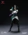 Pre-order the INART Valorant Sage 1/12 scale action figure at HobbyGalaxy.com! Features detailed sculpting, weapon accessories, and ability orb effect parts.