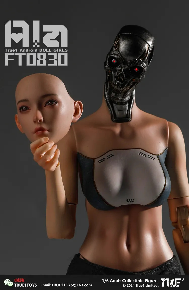 True1Toys 1/6 アンドロイド アラ FT0830 Ala 69ccad3f6d.jpg