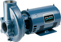 StaRite cchh137s Centrifugal Pump