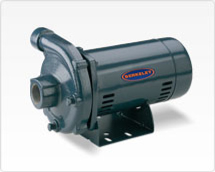 Berkeley S39518 Pump