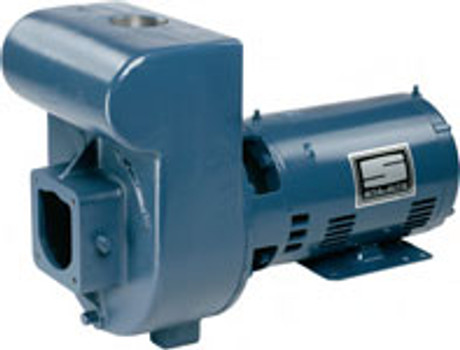 Sta-Rite DM2H-110 Centrifugal Pump