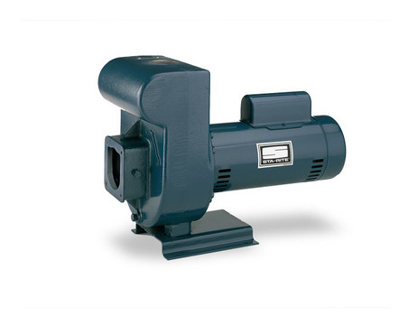 Sta-Rite DMG3-41 Centrifugal Pump