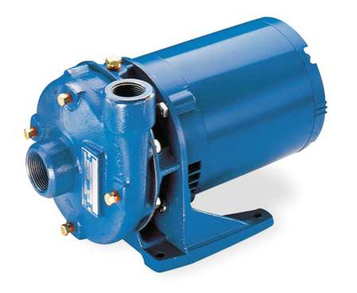 Goulds 2BF31012 Centrifugal Pump