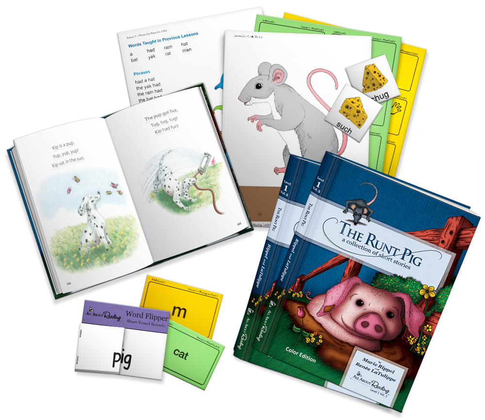 All About Reading Level 1 教材セット All About Reading Level 1