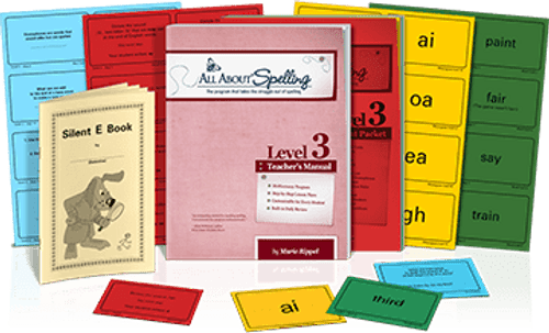 Level 3 – Spelling Rules Game – Spelling Success