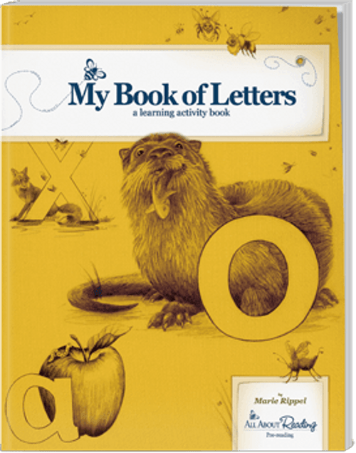 pre-reading activity book