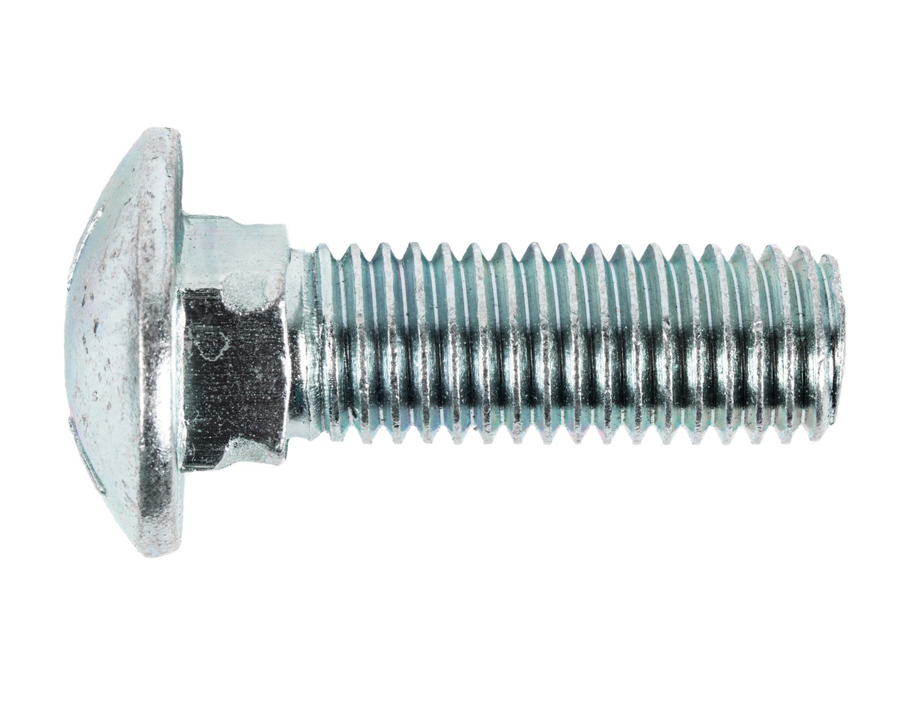 Carriage Bolts