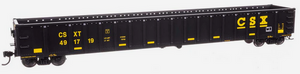 Walthers Mainline 910-6466 CSX Railgon #491719 HO