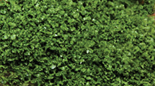 Scenic Express SE6132 Super Leaves Medium Green 16 oz Shaker