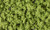 Woodland Scenics FC145 Bushes-Light Green