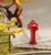 Faller 180912 Fire Hydrants 
