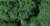 Woodland Scenics FC59 Dark Green Foliage Clusters