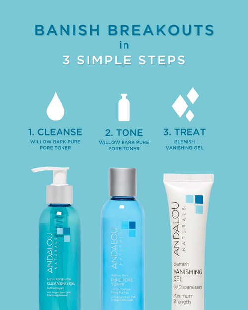 Andalou Naturals Clear Skin Citrus Kombucha Cleansing Gel - 6 fl oz Andalou Naturals Clear Skin Citrus Kombucha Cleansing Gel - 6 fl oz