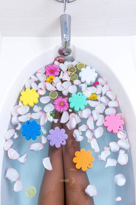 DAISY COLLECTION WILD FLOWER - FREESIA PEAR (BLUE)