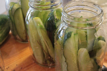 Try this recipe: Easy Refrigerator Pickles!