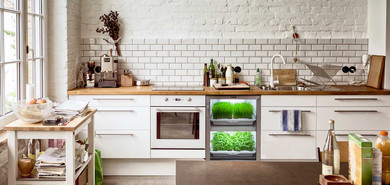 Grow Your Own Greens with an Urban Cultivator - Now Available at Avenue Appliance in Edmonton