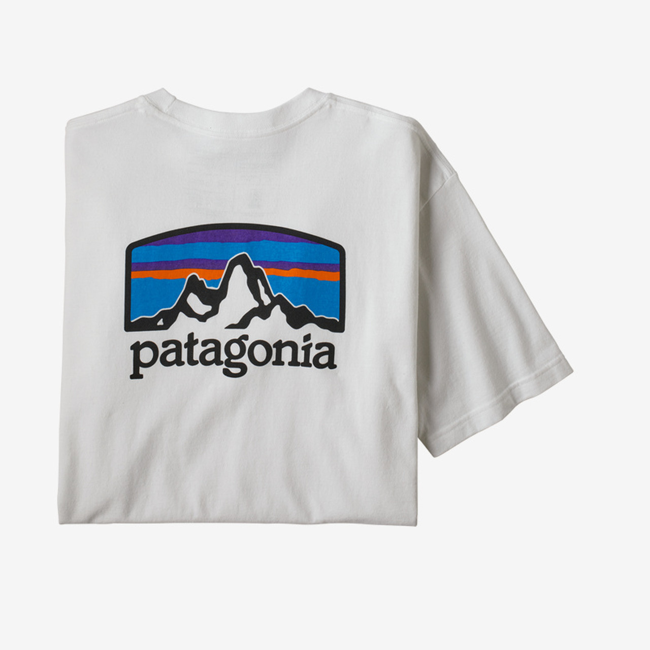 Patagonia fitz hot sale roy tshirt