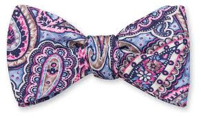 R. Hanauer Blue/Fuchsia Bernadette Paisley Bow Tie - Craig Reagin Clothiers