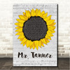 Harry Chapin Mr. Tanner Grey Script Sunflower Song Lyric Wall Art Canvas Framed Print