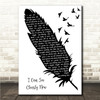 Johnny Nash I Can See Clearly Now Black & White Feather & Birds Song Lyric Wall Art Canvas Framed Print