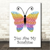 Jimmie Davis You Are My Sunshine Rainbow Butterfly Song Lyric Wall Art Canvas Framed Print