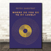 Peter Sarstedt Where Do You Go to My Lovely Blue & Copper Gold Vinyl Record Song Lyric Wall Art Canvas Framed Print