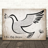 MercyMe I Can Only Imagine Vintage Dove Bird Decorative Wall Art Gift Song Lyric Print
