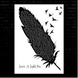 Tom Walker Leave A Light On Black & White Feather & Birds Song Lyric Print