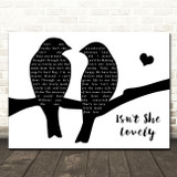 Stevie Wonder Isn't She Lovely Lovebirds Black & White Song Lyric Wall Art Canvas Framed Print