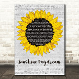 The Grateful Dead Sunshine Daydream Grey Script Sunflower Song Lyric Wall Art Canvas Framed Print