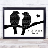 Christina Perri A Thousand Years Lovebirds Black & White Song Lyric Print