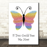 The Script If You Could See Me Now Rainbow Butterfly Song Lyric Music Art Print