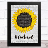 Miranda Lambert Bluebird Grey Script Sunflower Song Lyric Music Art Print