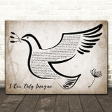 MercyMe I Can Only Imagine Vintage Dove Bird Decorative Wall Art Gift Song Lyric Print