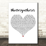 Frank Turner Photosynthesis White Heart Decorative Wall Art Gift Song Lyric Print