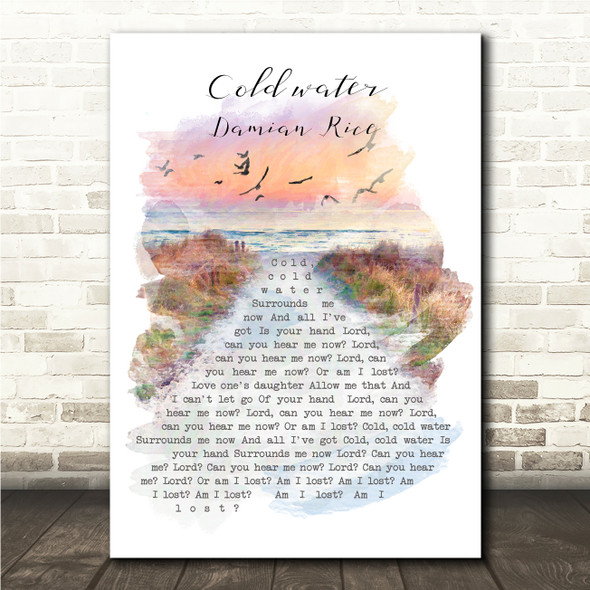 Damien Rice Cold Water Beach Sunset Birds Memorial Song Lyric Wall Art Canvas Framed Print