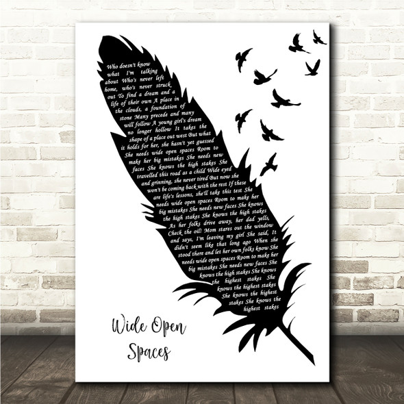 Dixie Chicks Wide Open Spaces Black & White Feather & Birds Song Lyric Wall Art Canvas Framed Print