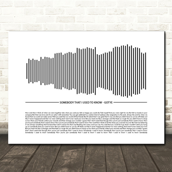 Gotye Somebody That I Used To Know Sound Wave Minimal Song Lyric Wall Art Canvas Framed Print