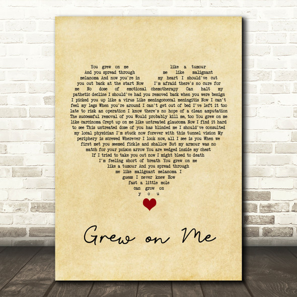 Tim Minchin Grew on Me Vintage Heart Song Lyric Wall Art Print
