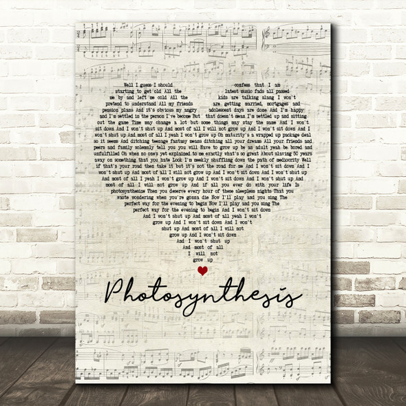 Frank Turner Photosynthesis Script Heart Decorative Wall Art Gift Song Lyric Print