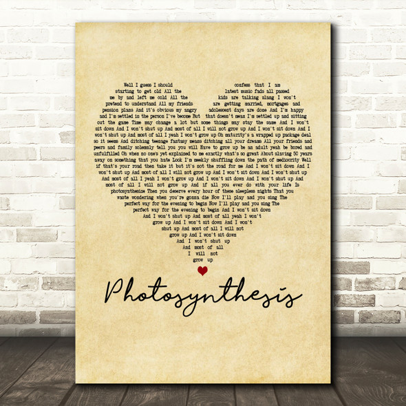 Frank Turner Photosynthesis Vintage Heart Decorative Wall Art Gift Song Lyric Print