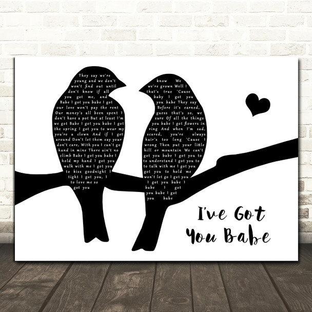 Sonny & Cher I Got You Babe Black & White Lovebirds Song Lyric Print
