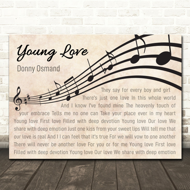 Donny Osmand Young Love Landscape Wavy Music Notes Song Lyric Wall Art Canvas Framed Print