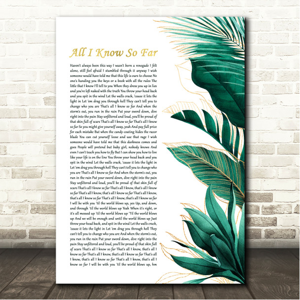 P!nk All I Know So Far Gold Green Botanical Leaves Side Script Song Lyric Wall Art Canvas Framed Print