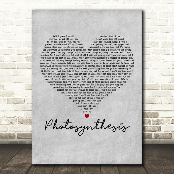 Frank Turner Photosynthesis Grey Heart Decorative Wall Art Gift Song Lyric Print