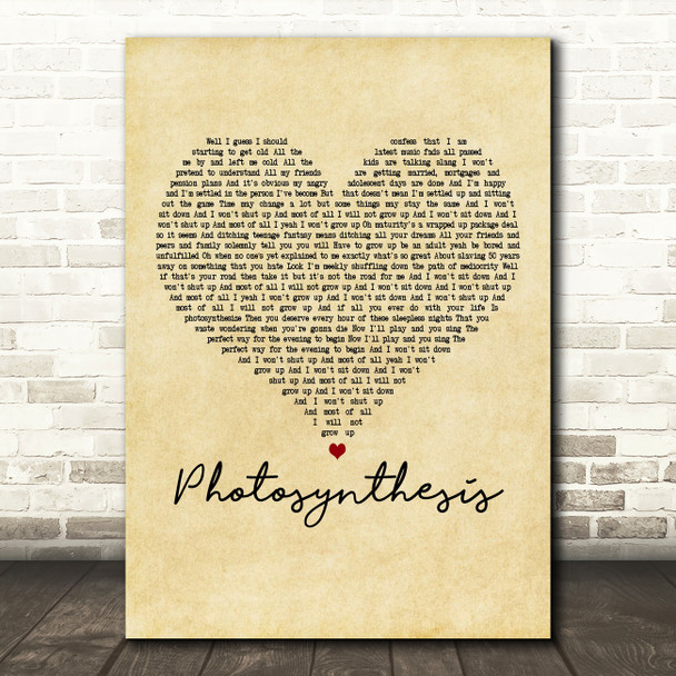 Frank Turner Photosynthesis Vintage Heart Decorative Wall Art Gift Song Lyric Print