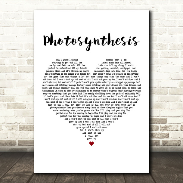 Frank Turner Photosynthesis White Heart Decorative Wall Art Gift Song Lyric Print