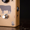 Mojo Hand FX - Sacred Cow - "Professional Gold" Overdrive Pedal