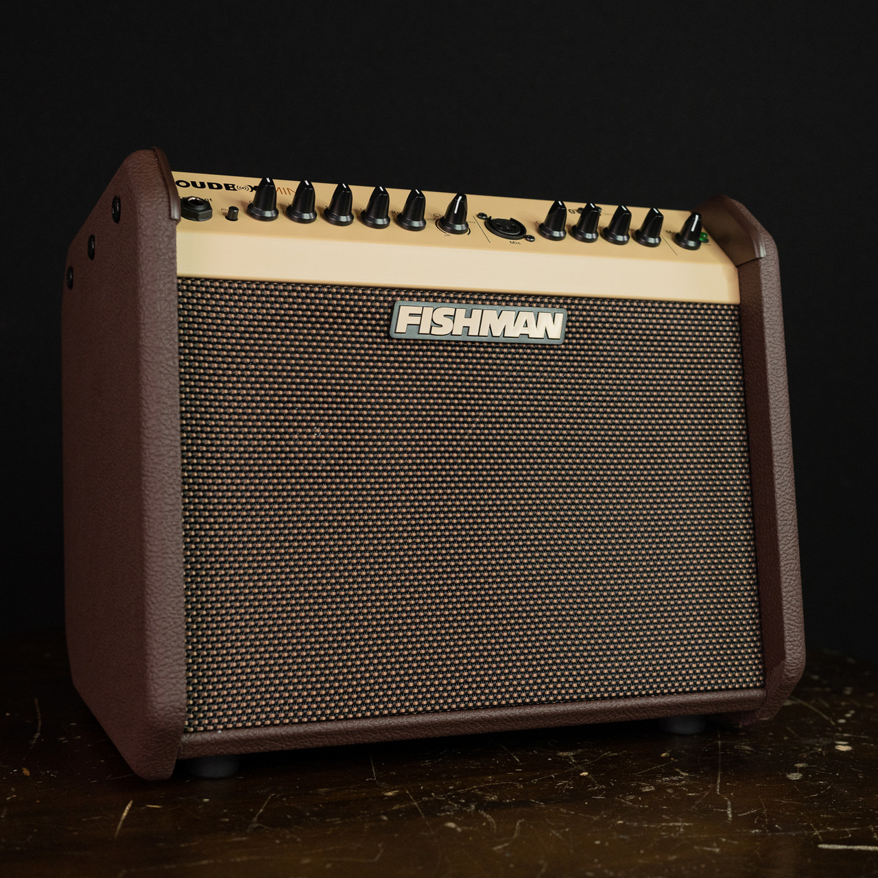 Fishman Loudbox Mini with Bluetooth